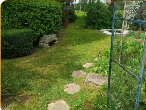 abattage arbre à Bouloire - image 2