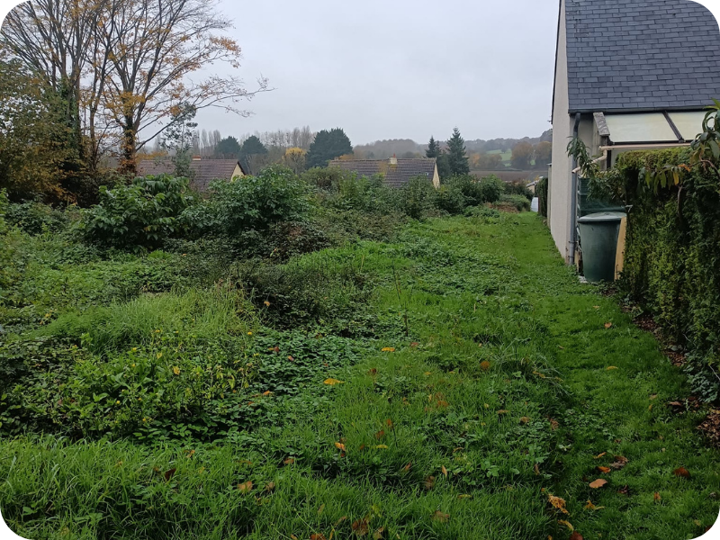 before-image