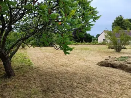 abattage arbre Bouloire-5