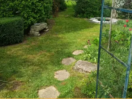abattage arbre à Connerré - image 3