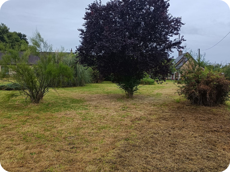 after-image