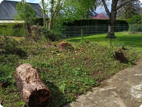 abattage arbre à La Ferté-Bernard - image 3
