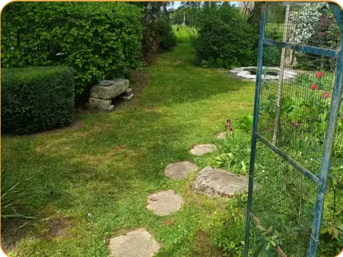 abattage arbre à La Ferté-Bernard - image 4