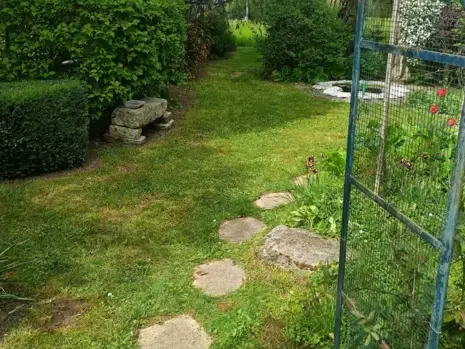 abattage arbre à Le Grand-Lucé - image 2