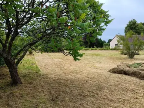 abattage arbre à Le Grand-Lucé - image 4