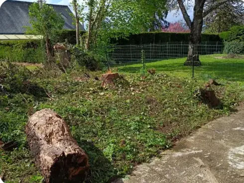 abattage arbre Le Grand-Lucé-5