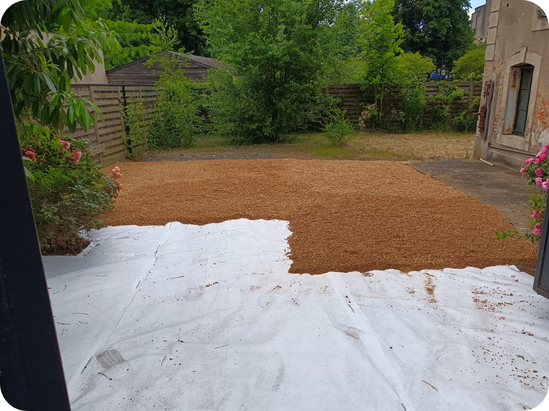 before-image