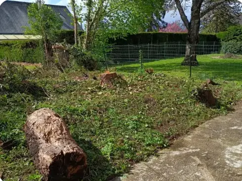 abattage arbre Saint-Calais-1
