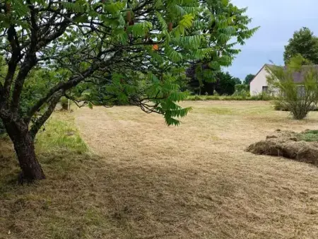abattage arbre à Saint-Calais - image 2