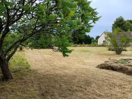 élagueur à Bouloire - image 2