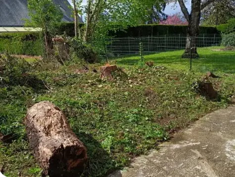 élagueur à Bouloire - image 3