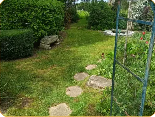 élagueur Connerré-1