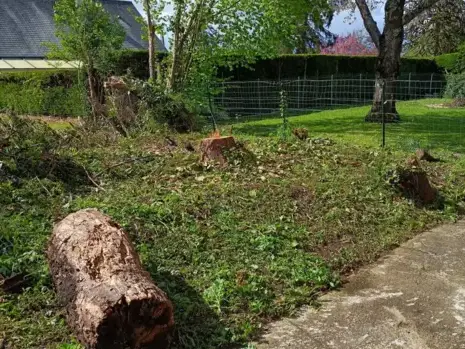 élagueur à Connerré - image 3