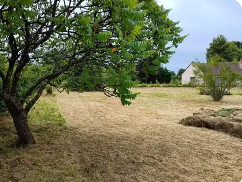 élagueur à Connerré - image 4