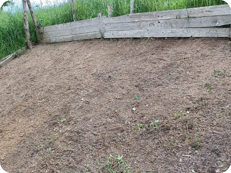 before-image