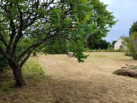 élagueur La Ferté-Bernard-1