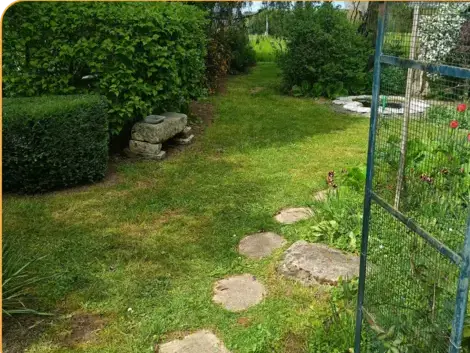 élagueur à La Ferté-Bernard - image 3