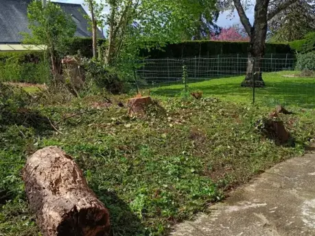 élagueur La Ferté-Bernard-5