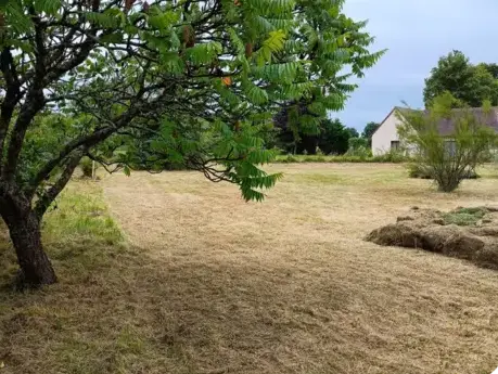élagueur Le Grand-Lucé-1