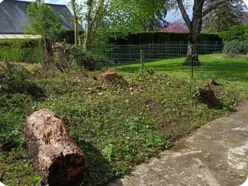 élagueur à Le Grand-Lucé - image 3