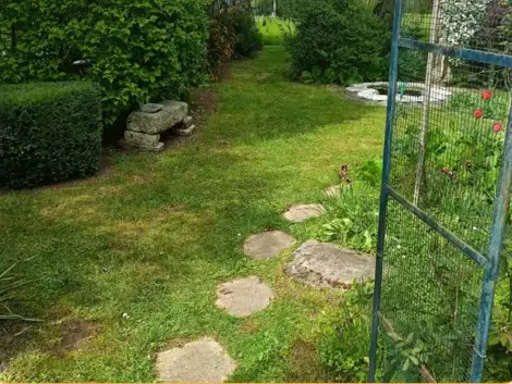 élagueur Le Grand-Lucé-5