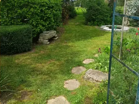 élagueur à Le Mans - image 2