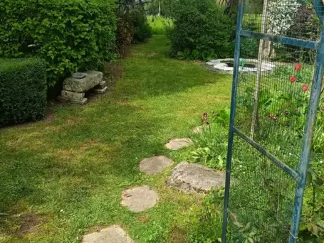 entretien jardin à Bouloire - image 2