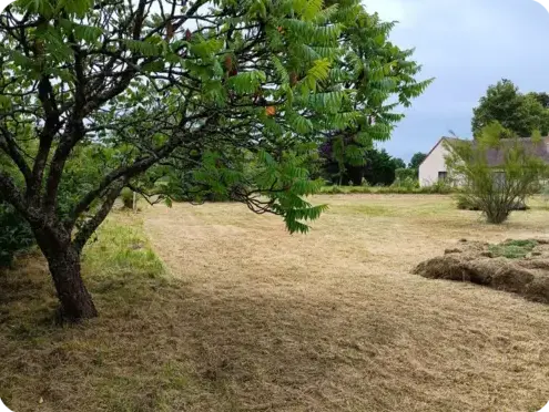 entretien jardin à Bouloire - image 3