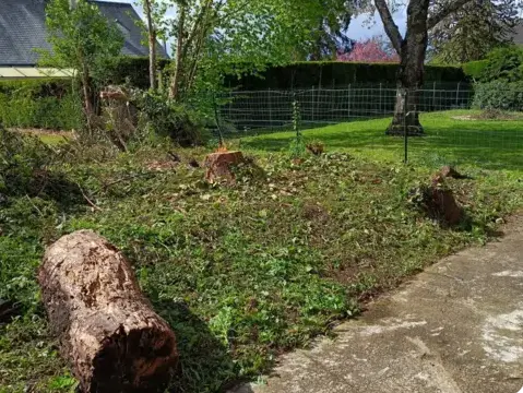 entretien jardin Bouloire-5