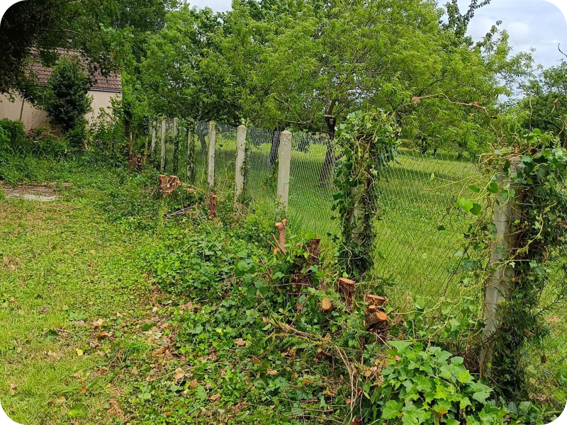 after-image