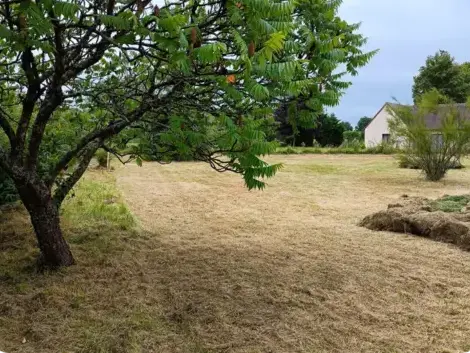 entretien jardin Connerré-1