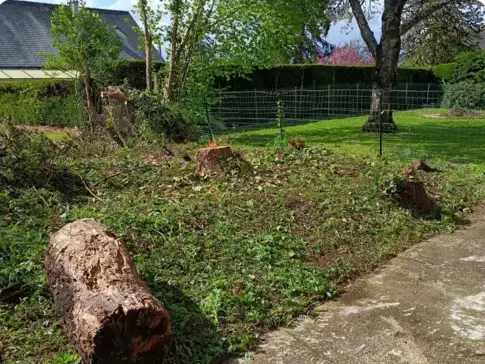 entretien jardin à Connerré - image 2