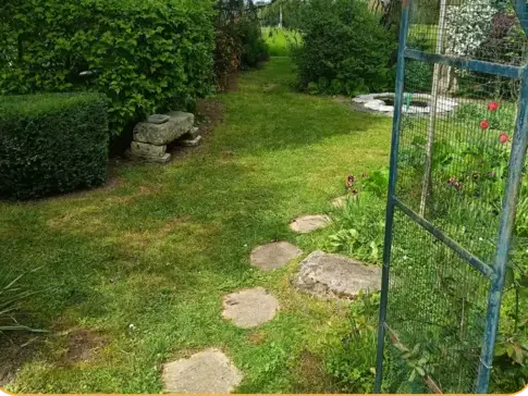entretien jardin Connerré-5