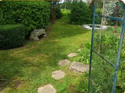 entretien jardin à La Ferté-Bernard - image 2
