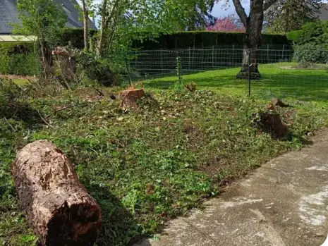 entretien jardin à La Ferté-Bernard - image 3