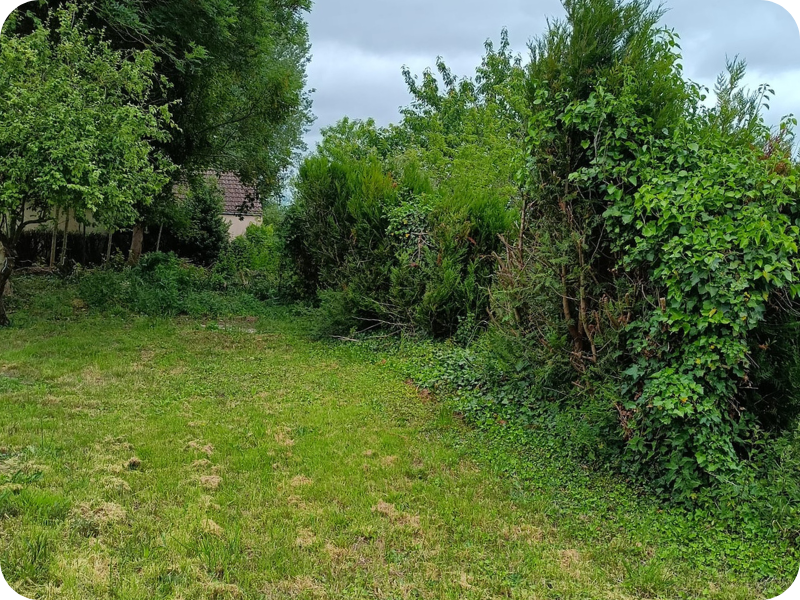 before-image