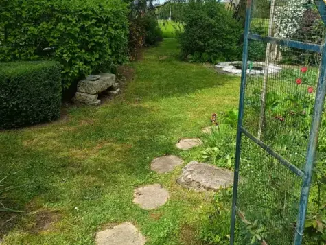 entretien jardin à Le Grand-Lucé - image 2