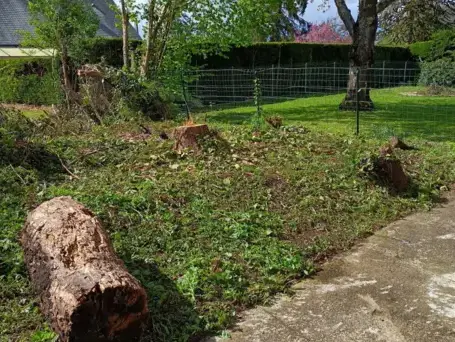 entretien jardin à Le Grand-Lucé - image 3