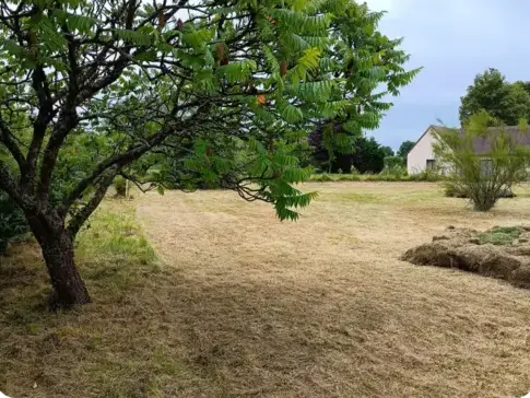 entretien jardin à Le Grand-Lucé - image 4