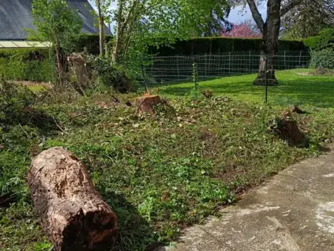 entretien jardin Le Mans-1