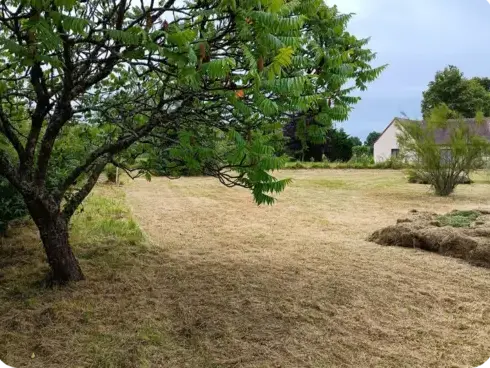 entretien jardin à Le Mans - image 2