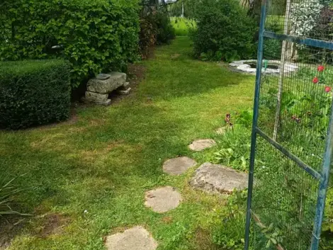 entretien jardin à Le Mans - image 4