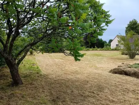 entretien jardin Saint-Calais-1