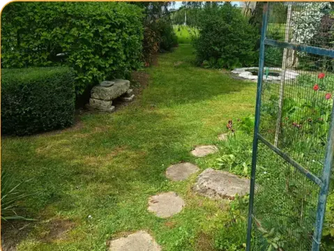 entretien jardin à Saint-Calais - image 2