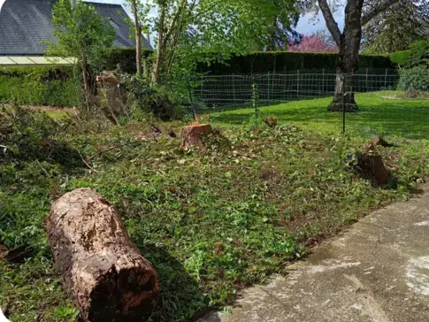entretien jardin Saint-Calais-5