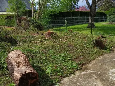 jardinier Bouloire-5