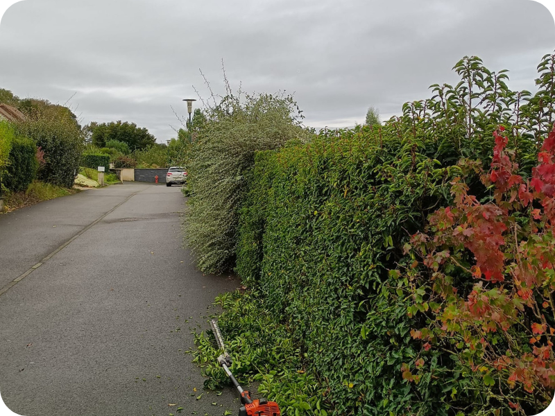 before-image