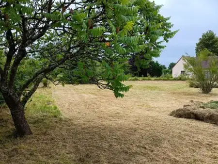 jardinier à La Ferté-Bernard - image 2