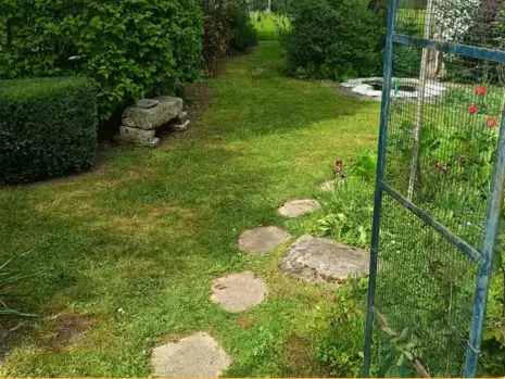 jardinier à La Ferté-Bernard - image 4