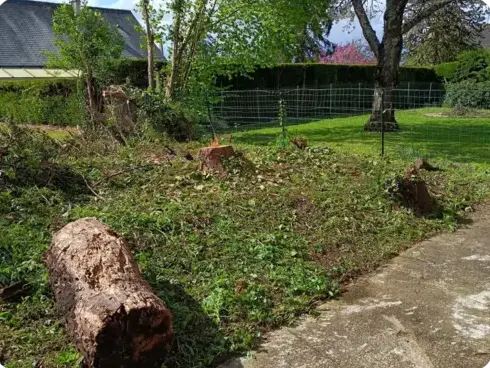 jardinier à Le Grand-Lucé - image 2